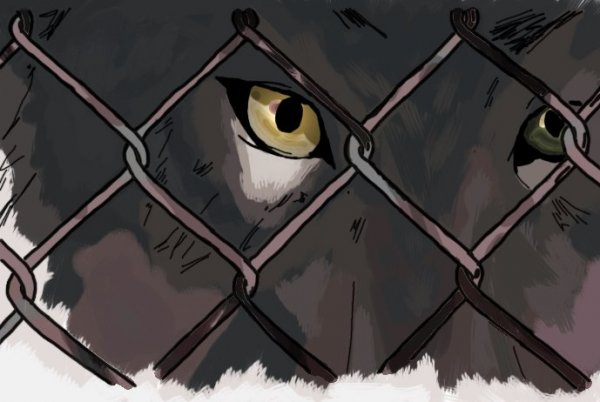 Wolf_in_Cage_by_Aleandrus